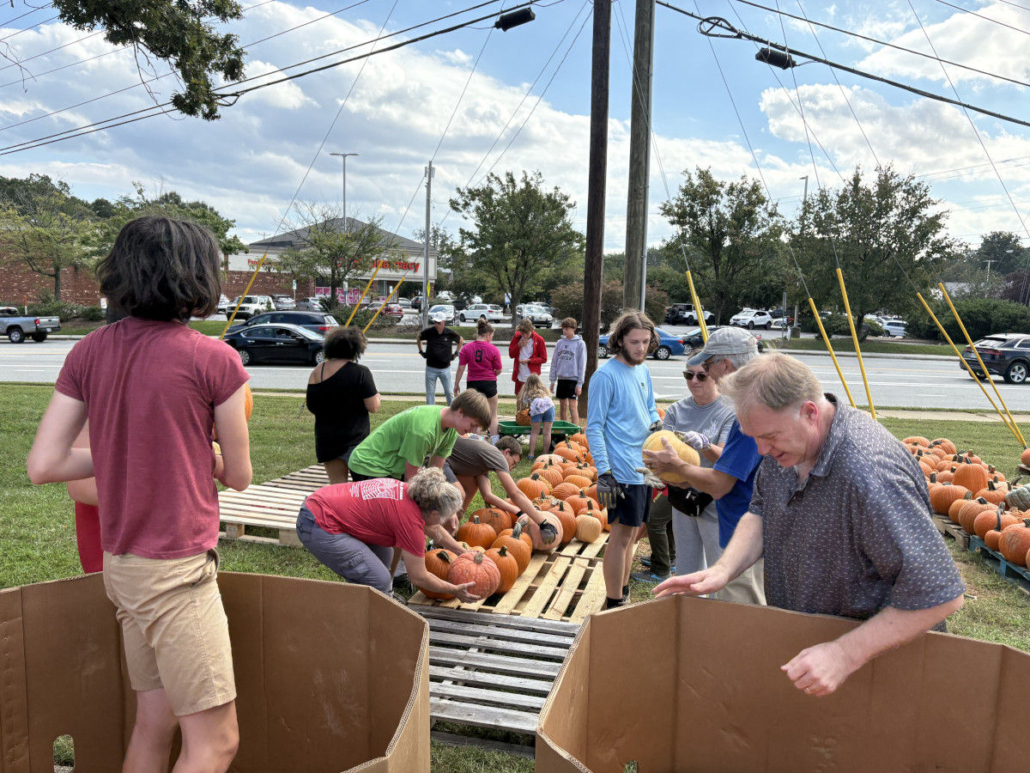 Pumpkin Patch, Second delivery