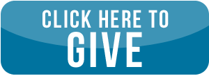 Give Online